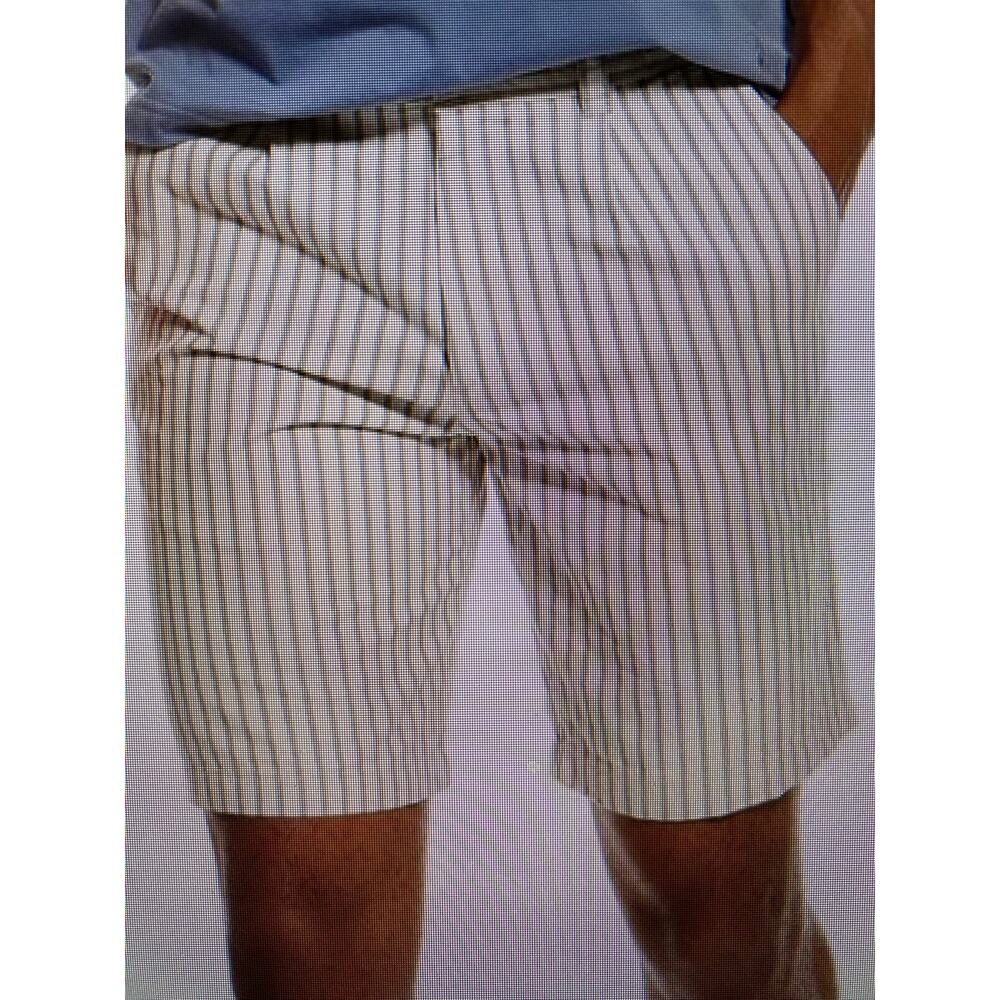 NWT Slate & Stone mens stripe linen blend shorts 34